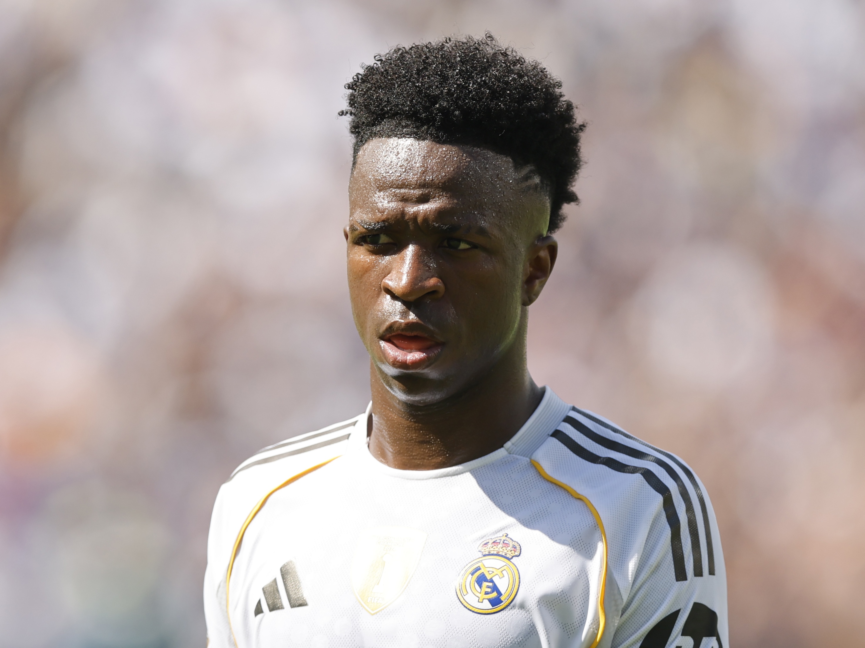 蒂时期围绕 蒂时期围绕